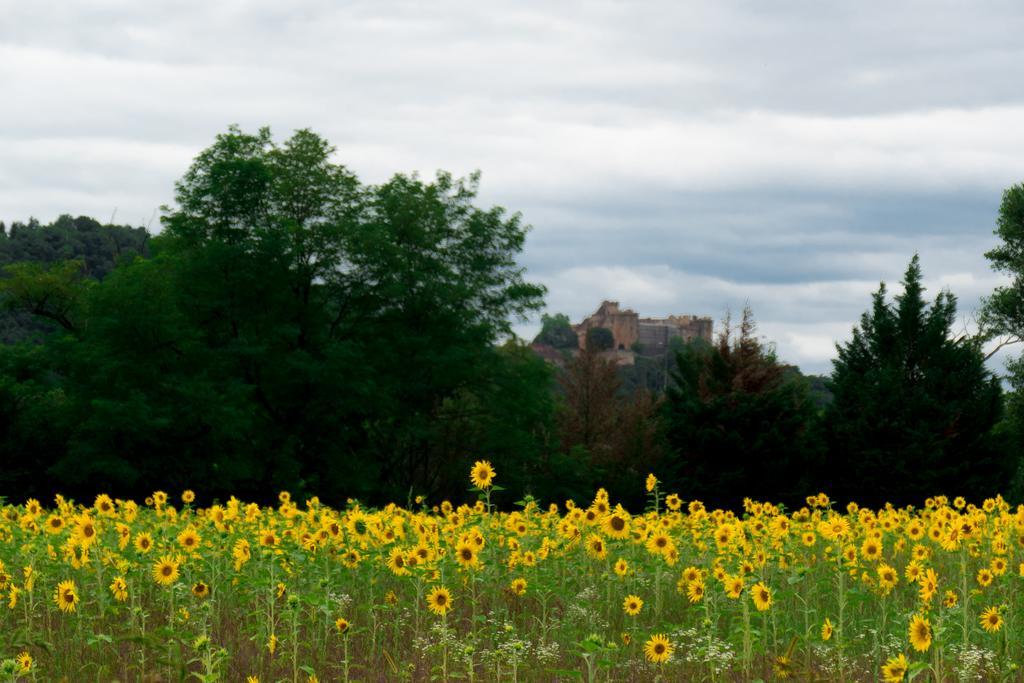Domaine De Borie Chambres D'Hotes Bretenoux Kültér fotó