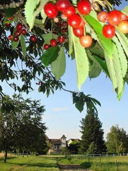 Domaine De Borie Chambres D'Hotes Bretenoux Kültér fotó
